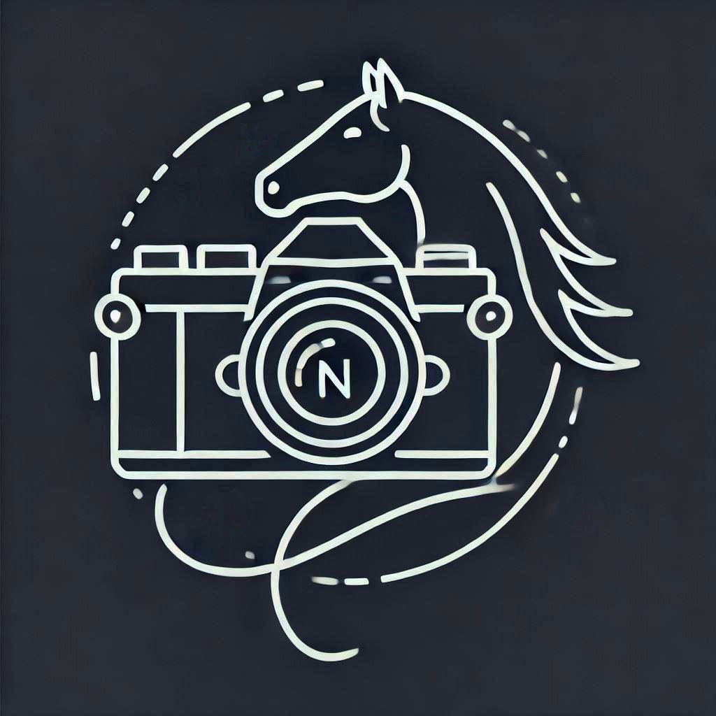 Bookings Site
